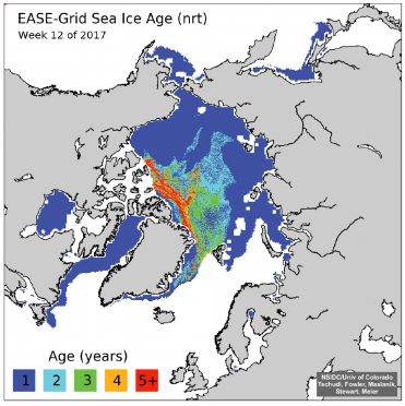 multiyear-sea-ice.png